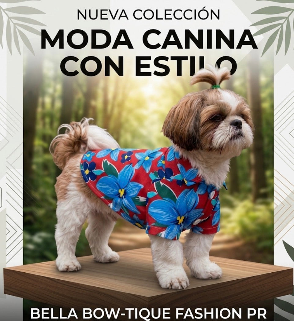 Moda Canina con Estilo
