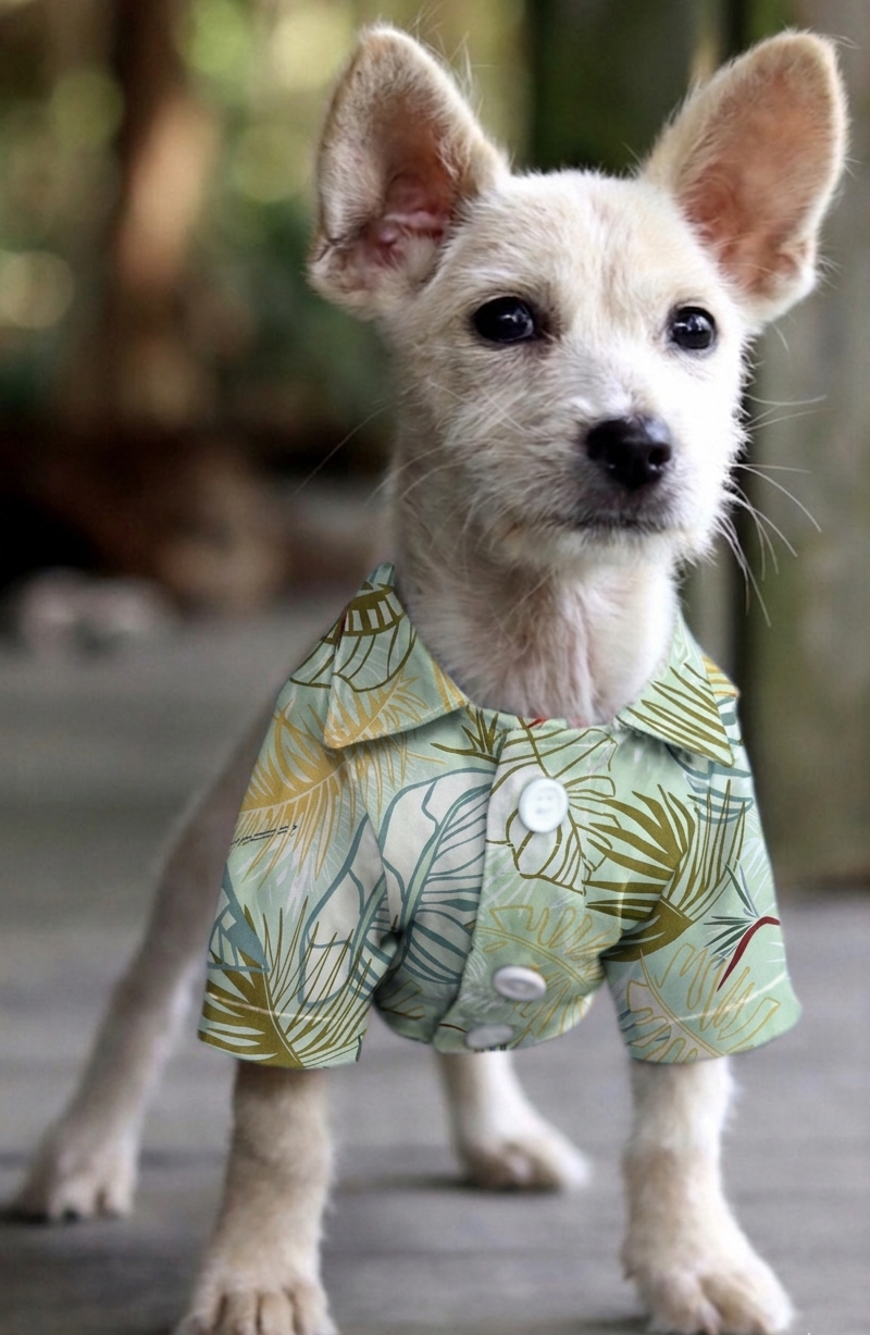 Camisa Tropical Palma Chic