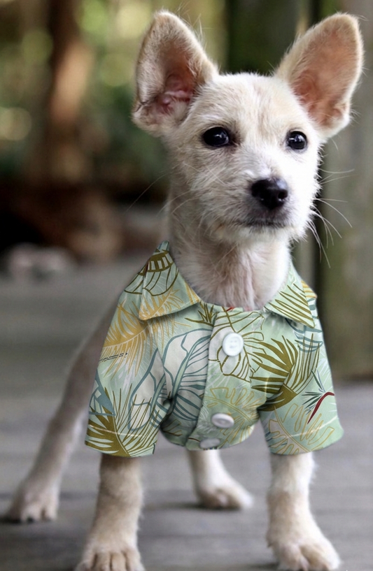 Camisa Tropical Palma Chic